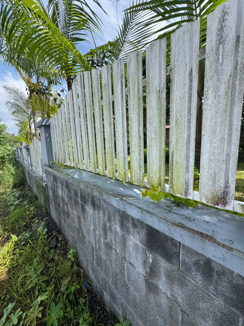 Avant : clôture envahie de mousse verte et muret sale